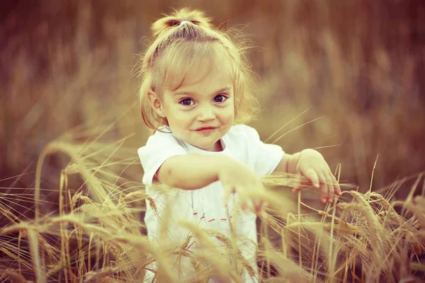 Bambino femminile giovane in un campo — Foto Stock