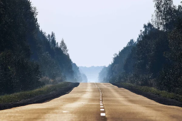 Tom väg genom skogen — Stockfoto