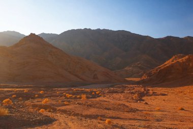 Çöldeki kum tepeleri 