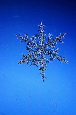 Mavi arkaplanda kar taneleri