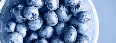  taze orman yaban mersini 