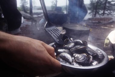 Tabağa haşlanmış midye 