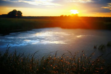 Suyun kenarında günbatımında çimen