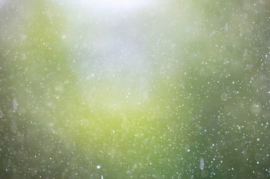 doğal arka plan bulanık