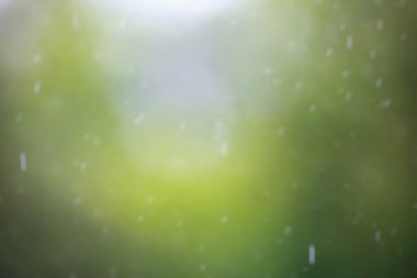 doğal arka plan bulanık