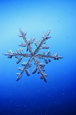 Mavi arkaplanda kar taneleri