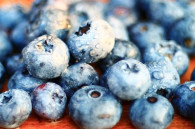 taze çilek, yaban mersini