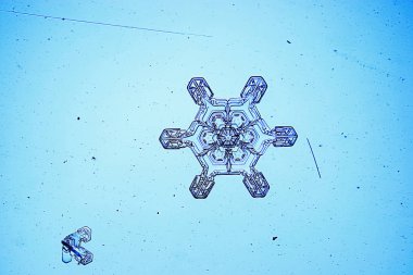 Mavi arkaplanda kar taneleri