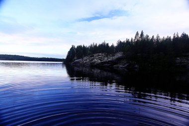 iğne yapraklı orman, su 