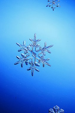 Mavi arkaplanda kar taneleri