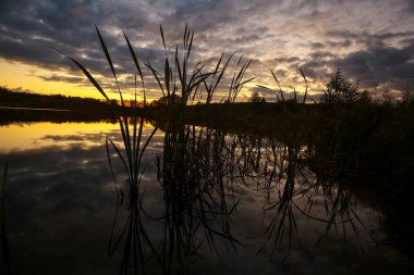 Göl kıyısında güzel bir gün batımı