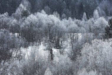 Bulanık ufuk yansıma