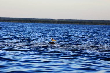 Gün batımında gökyüzünde bulutlar