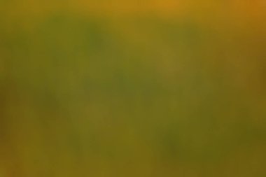 Suluboya arka plan bulanık 