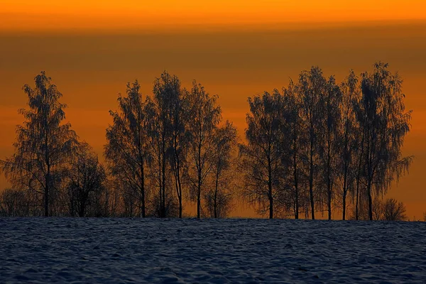 Coucher de soleil dans la forêt d'hiver — Photo