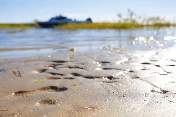 Sporen op zand uit het water — Stockfoto