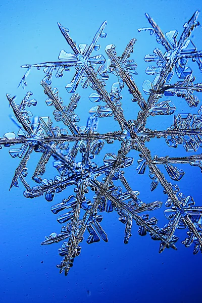 Flocons de neige sur fond bleu — Photo