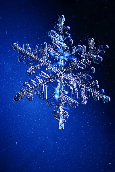 Snöflinga på en blå bakgrund — Stockfoto