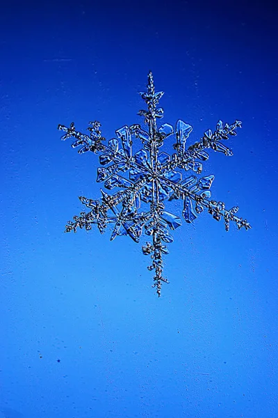 Flocons de neige sur fond bleu — Photo