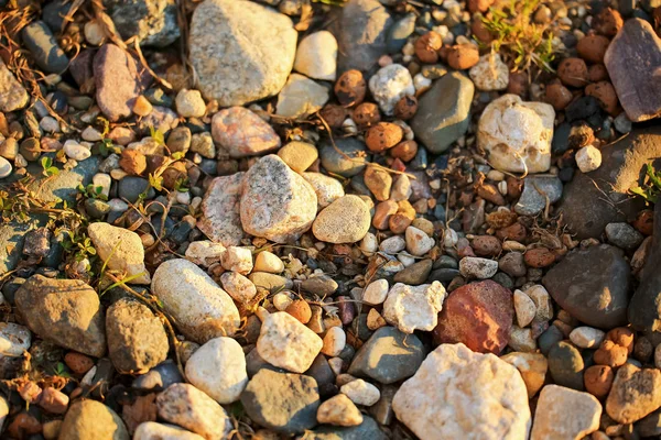 Veelkleurige kleine steentjes met gras — Stockfoto