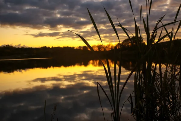 Beautiful sunset on the lake shore — Stock Photo, Image