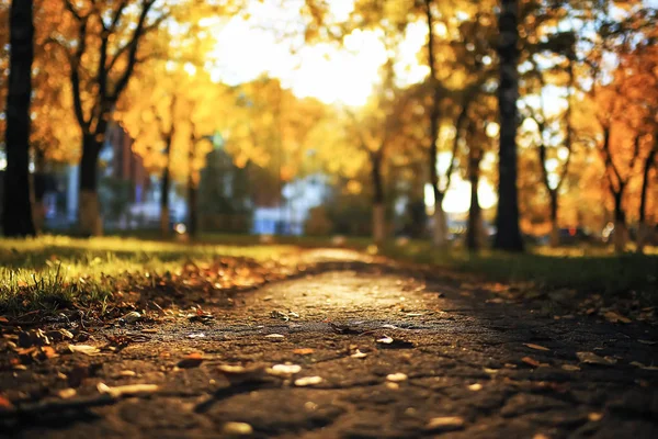 Tiempo soleado en el parque de otoño —  Fotos de Stock