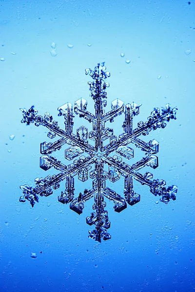 Floco de neve em um fundo azul — Fotografia de Stock