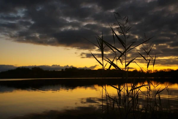 Prachtige zonsondergang aan de oever van het meer — Stockfoto