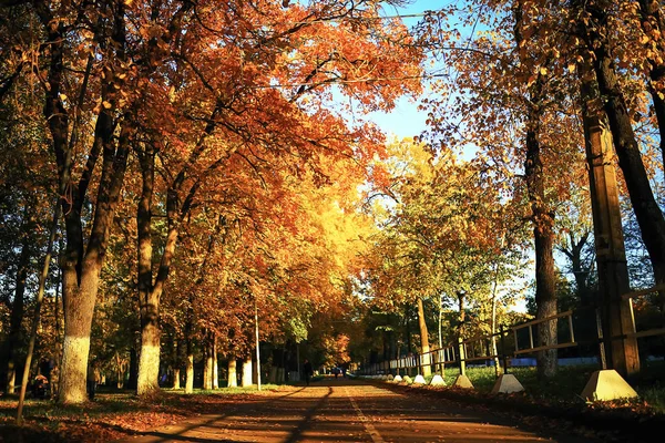 Tempo ensolarado no parque de outono — Fotografia de Stock