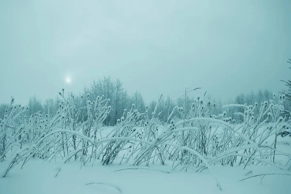 Nieve en el campo hierba — Foto de Stock