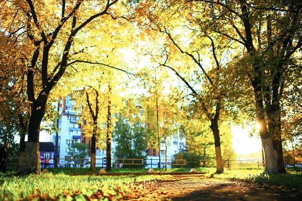 Sonbahar park güneşli havalarda