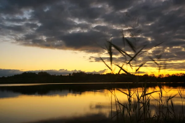 Beautiful sunset on the lake shore — Stock Photo, Image