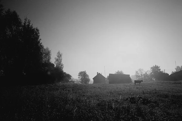 Rural  autumn meadow — Stock Photo, Image