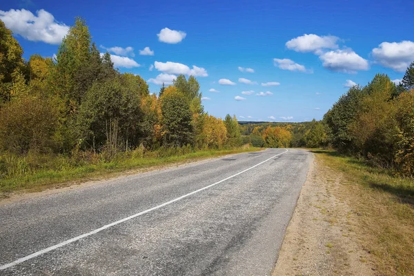 Tom väg genom skogen — Stockfoto