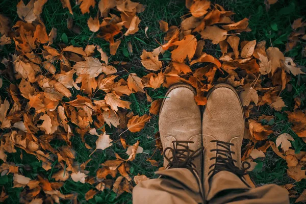 person Walking along the path