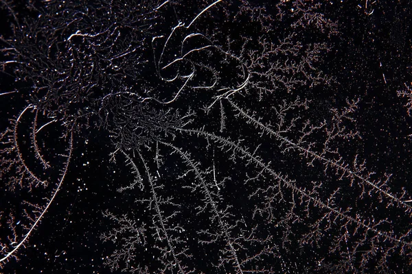 Rimfrost och snö mönster — Stockfoto