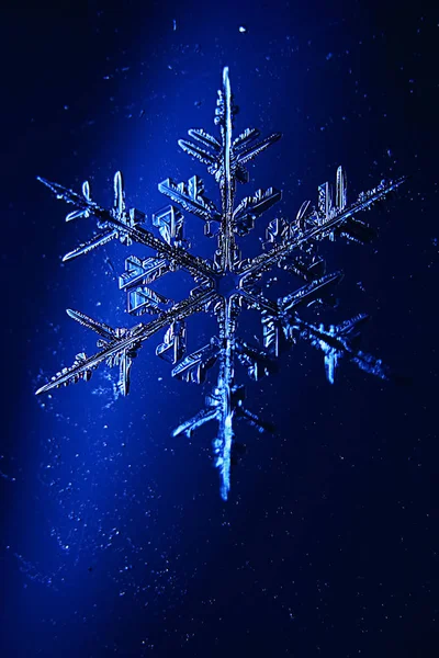 Schneeflocke auf blauem Hintergrund — Stockfoto