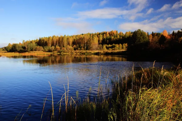 Lago bosque otoño — Foto de Stock