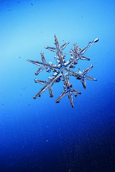 Snöflinga på en blå bakgrund — Stockfoto