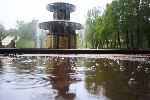 喷泉在彼得夏宫，俄罗斯 — 图库照片