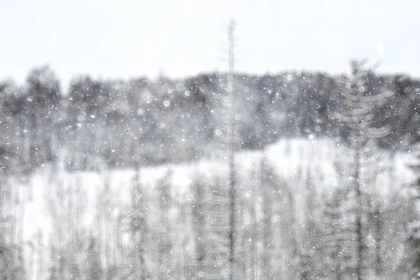 Suddig oskärpa bild — Stockfoto