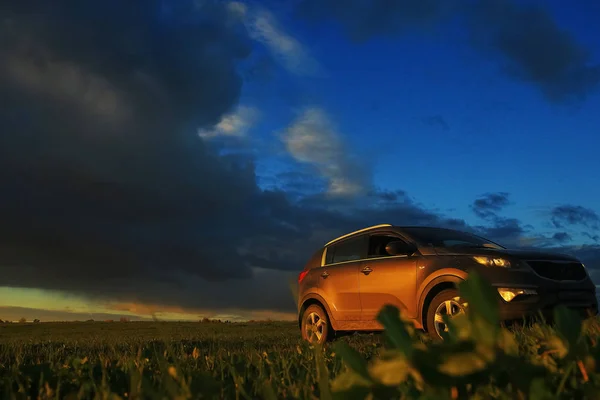 Car in the field at sunset — Stock Photo, Image