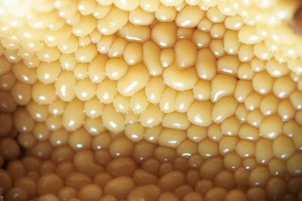 Células de sementes amarelas em uma tela — Fotografia de Stock