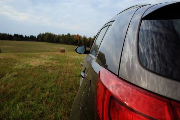 Car in the field near forest — Stock Photo, Image