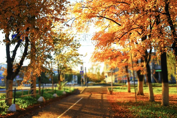 Sunny weather in autumn park — Stock Photo, Image