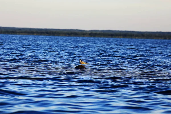 Gün batımında gökyüzünde bulutlar