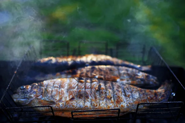 Poisson sur le gril dans la rue — Photo