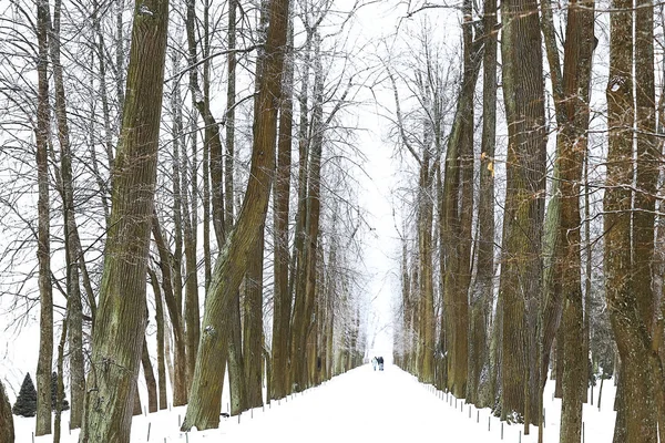 Park ve Peterhof şeritte