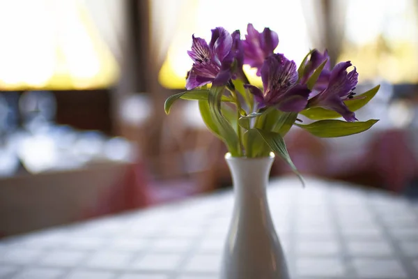 Vase with flowers on the table — Stock Photo, Image