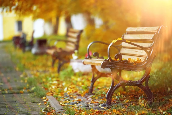 Bänke im Herbstpark — Stockfoto